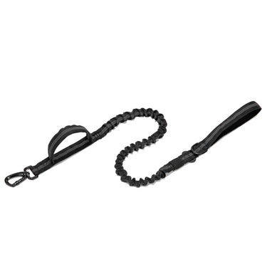 Dog Heaven™ Heavy Duty Collar & Bungee Leash